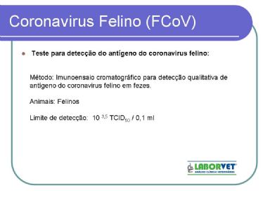 Coronavirus Felino (FCoV)